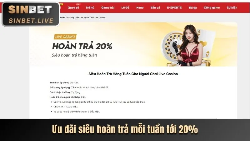 Giới thiệu toàn diện về nền tảng i5bet